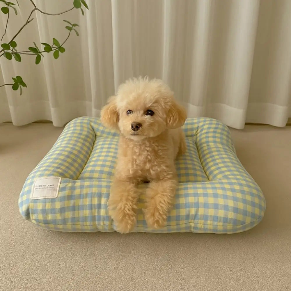 coussin animal velours côtelé carreaux bleu clair jaune rose blanc confortable moderne