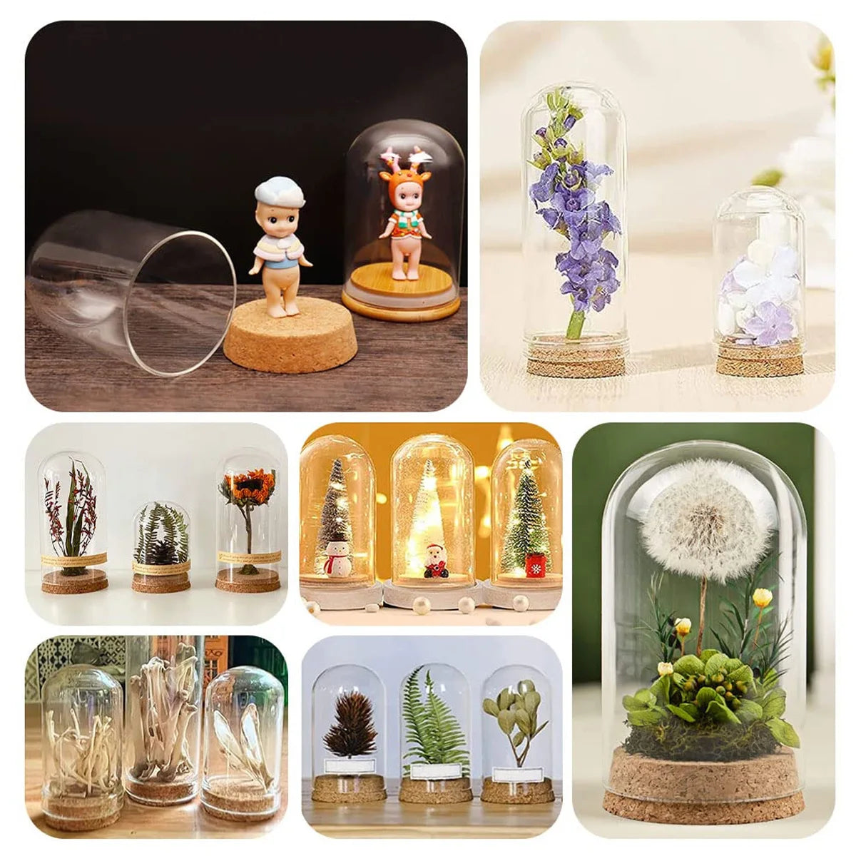 cloches verre liège transparents moderne 30x40 30x50 30x60 30x70 30x80 mm