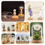cloches verre liège transparents moderne 30x40 30x50 30x60 30x70 30x80 mm