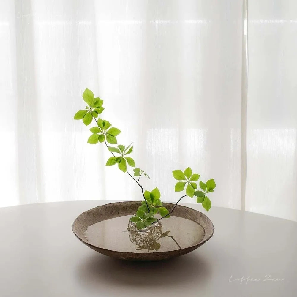 boule verre transparente réticulée minimaliste décoration intérieure moderne unique vase hydroponique fleur