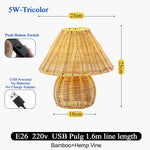 lampe table moderne tressée bambou marron clair éclairage salon USB