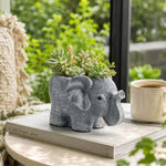 pots fleurs forme éléphant gris clair aspect texturé effet pierre decoratif animalier succulentes differentes
