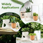 pots fleurs décoratifs blanc bleu foncé succulentes visage stylé modernes minimalistesintérieur