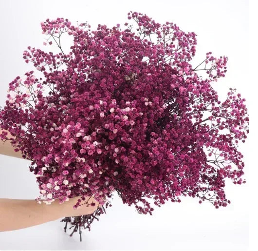 décoration maison bouquet fleurs séchées rose blanches vase naturel rustique