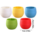 pots fleurs succulentes drainants couleur aléatoire rayures modernes transparents petite plante jardinière echangable