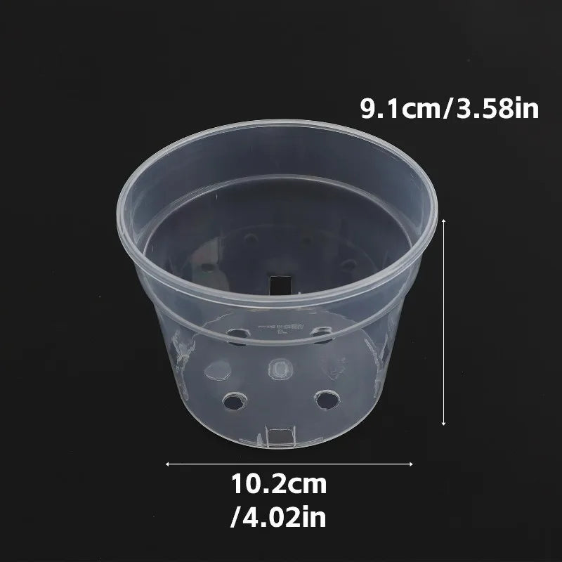 pots fleurs transparents modernes drainage holes ensemble plantes herbes cactus