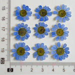 fleurs séchées multicolores bijoux résine décoration ongles maison intérieure artisanal anniversaire naturelles