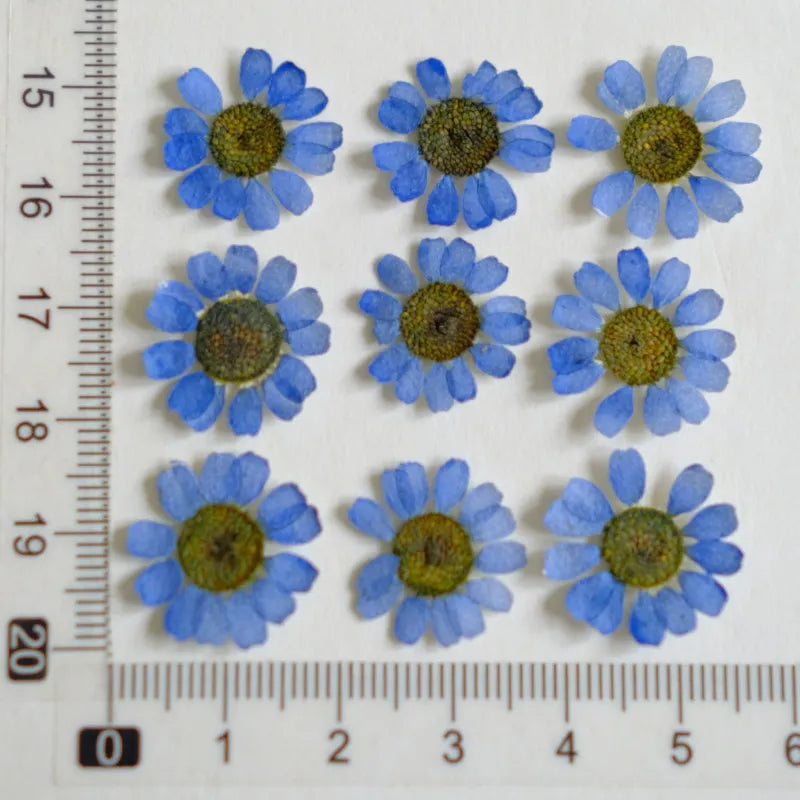 fleurs séchées multicolores bijoux résine décoration ongles maison intérieure artisanal anniversaire naturelles