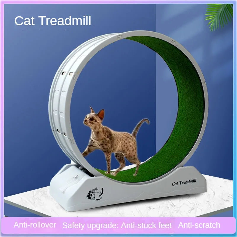 tapis course chat gris vert moderne adhésif exercice fitness tissu opacité sécurité