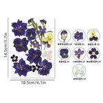 fleurs séchées violet bleu rose jaune naturelles décoration maison intérieur variés différents