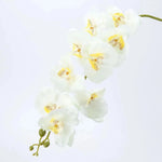 décoration intérieure orchidées artificielles phalaenopsis blanc moderne fête mariage anniversaire baby shower