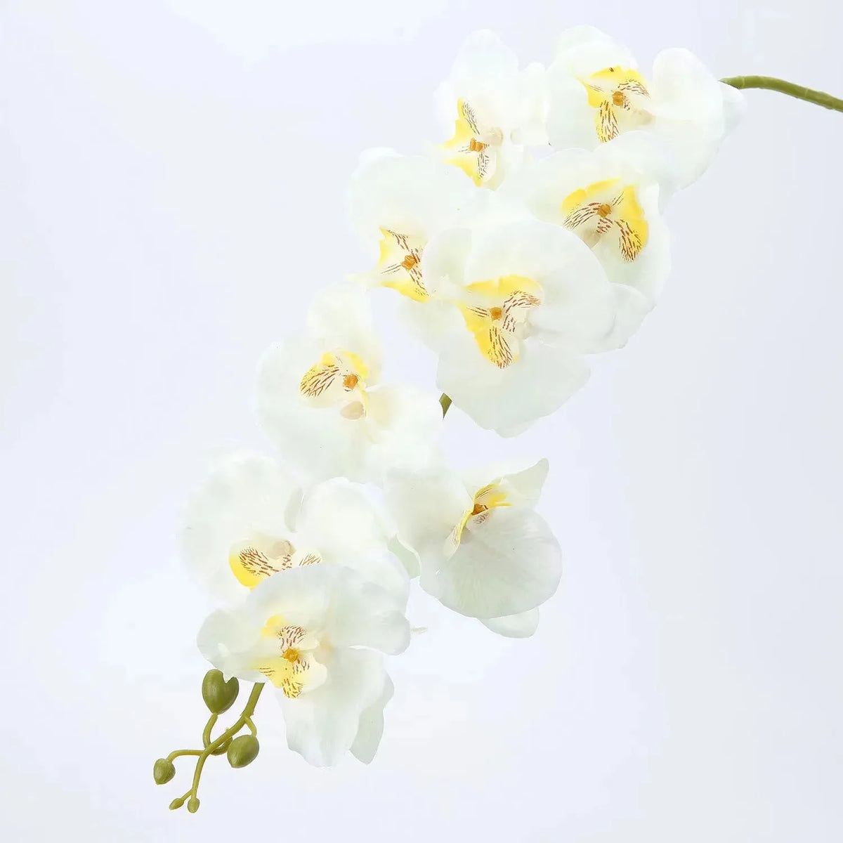 décoration intérieure orchidées artificielles phalaenopsis blanc moderne fête mariage anniversaire baby shower