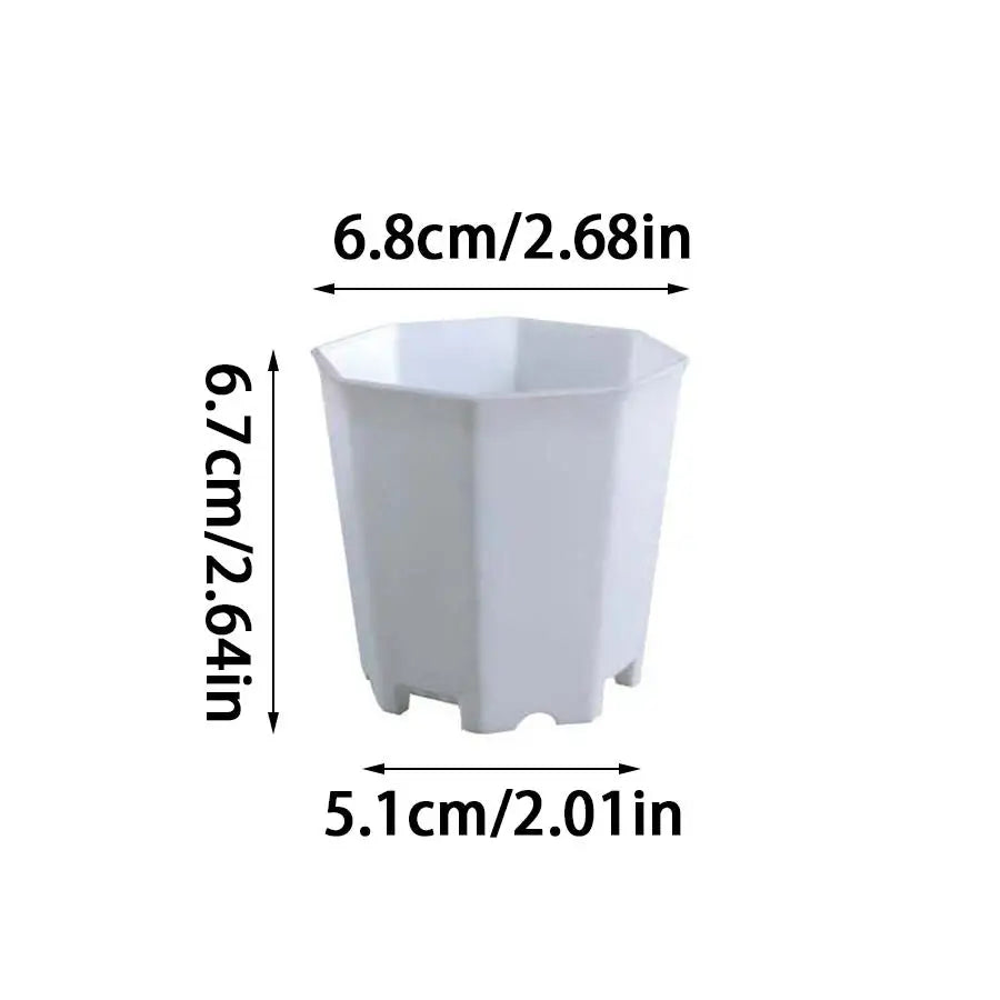 pots plante blancs hexagonaux modernes succulentes décoration table 6pcs 12pcs 24pcs