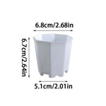 pots plante blancs hexagonaux modernes succulentes décoration table 6pcs 12pcs 24pcs