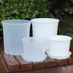pots semis blancs modernes lisses non transparents couvercles perforations variété tailles jardin