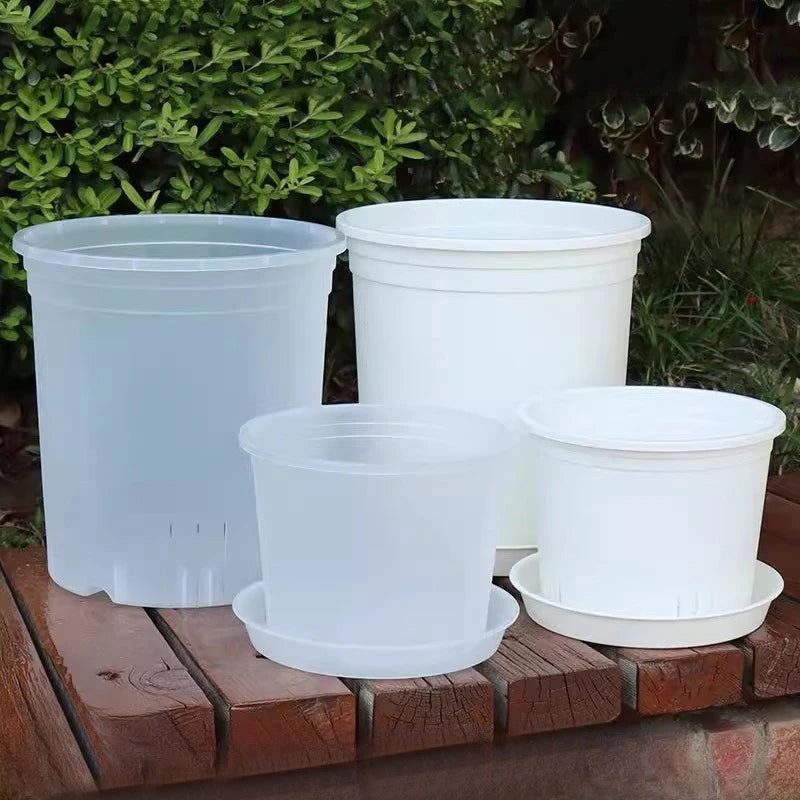 pots semis blancs modernes lisses non transparents couvercles perforations variété tailles jardin