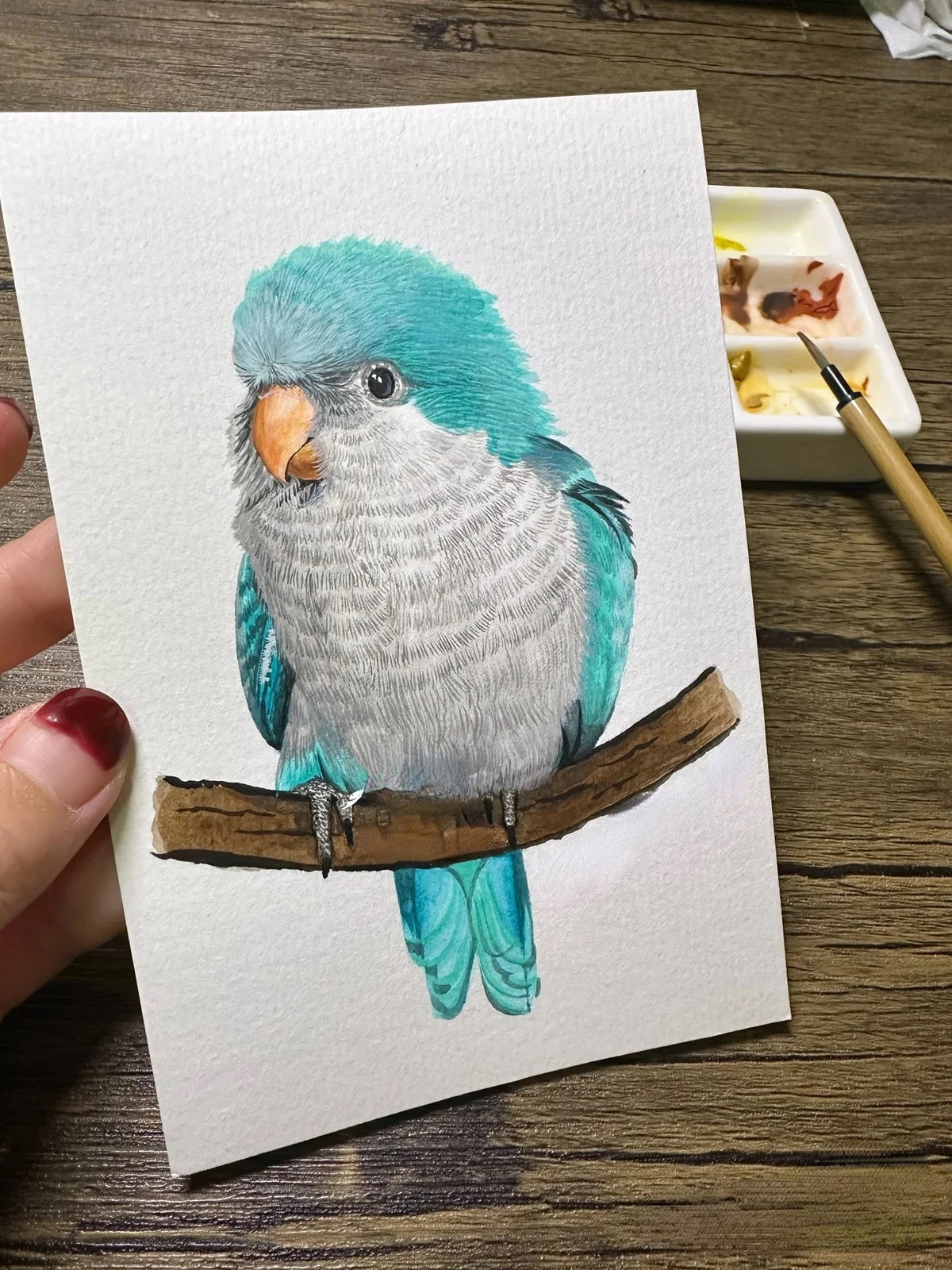 palette peinture aquarelle multicolore compartiments traditionnelle boite bois artiste illustration oiseaux