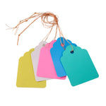 étiquettes plantes rectangulaires pvc couleurs bleu vert rose jaune blanc minimalistes jardin pot fleur