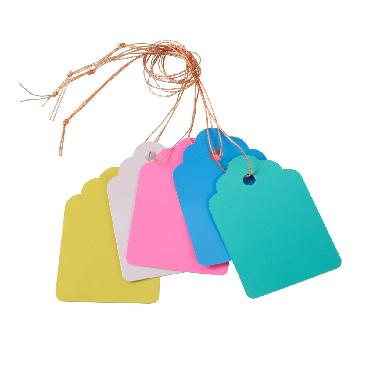 étiquettes plantes rectangulaires pvc couleurs bleu vert rose jaune blanc minimalistes jardin pot fleur