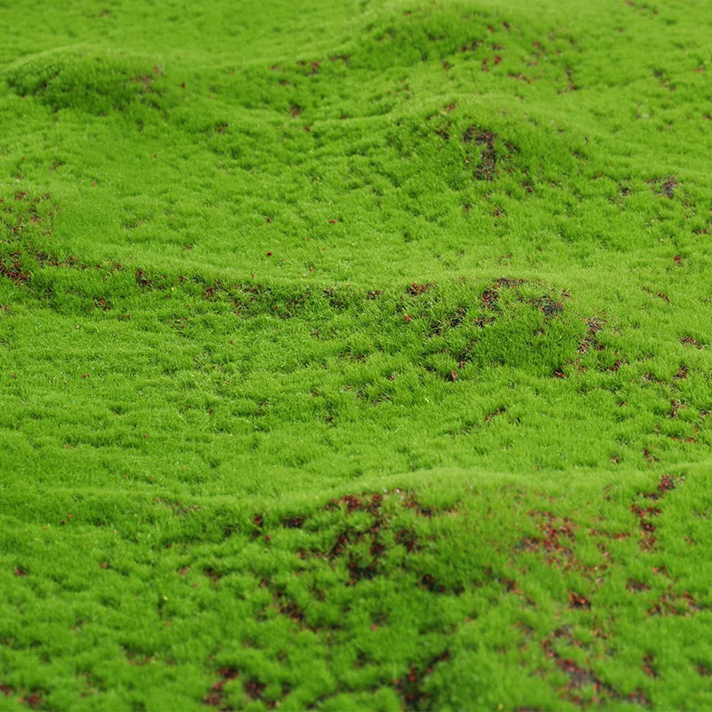 décoration extérieure mur végétal mousse herbe naturelle panneau rouleau texture végétale aspect gazon