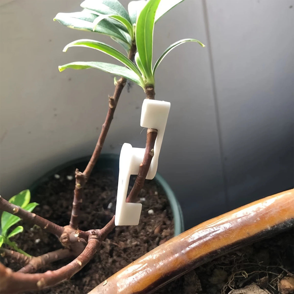 pinces plantes réglables 270 degrés plastique vert modernes pratique jardins culture