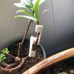 pinces plantes réglables 270 degrés plastique vert modernes pratique jardins culture