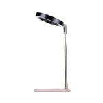 lampe led plante noire blanche rose moderne minimaliste réglable usb autonomie