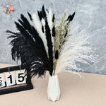 bouquet pampas séchés noir blanc décoration maison halloween anniversaire boho festive