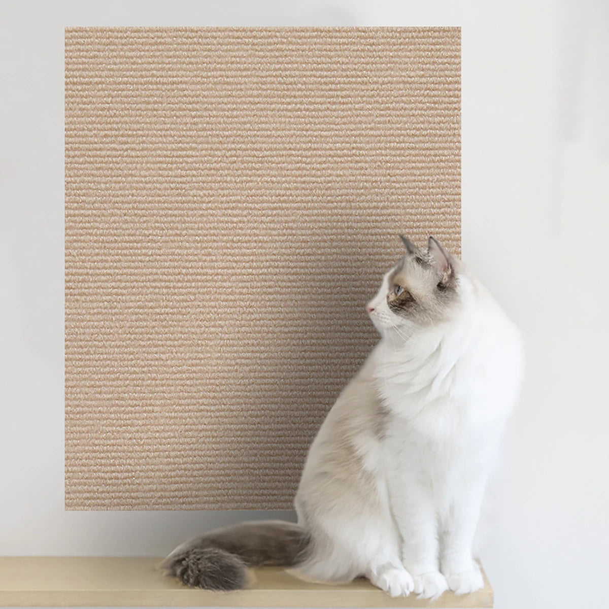 tapis chat adhésif beige gris noir moderne anti rayures protection meubles fixe