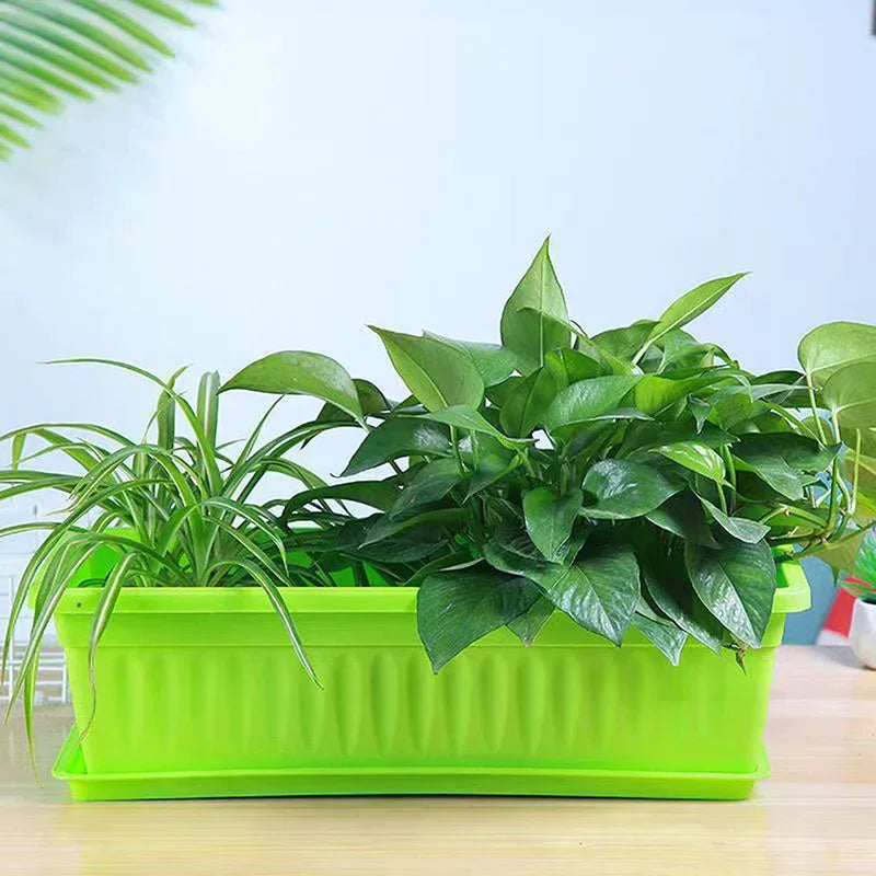 jardinières rectangulaires pots fleurs plastique violet vert jaune rose moderne rayures horizontales intérieurextérieur