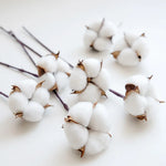 bouquet coton blanc naturel boules tiges brunes décoration intérieure artificielle noël bricolage