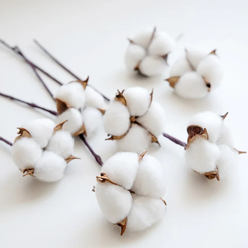 bouquet coton blanc naturel boules tiges brunes décoration intérieure artificielle noël bricolage
