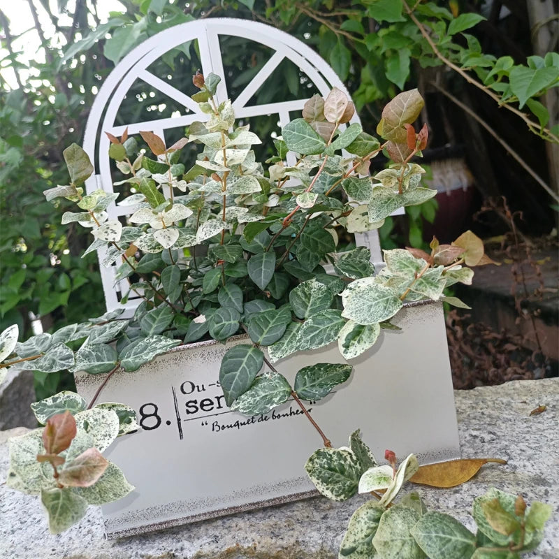 Bac fleurs métal vintage blanc vert fenêtre succulents rustic decorationintérieur jardinage