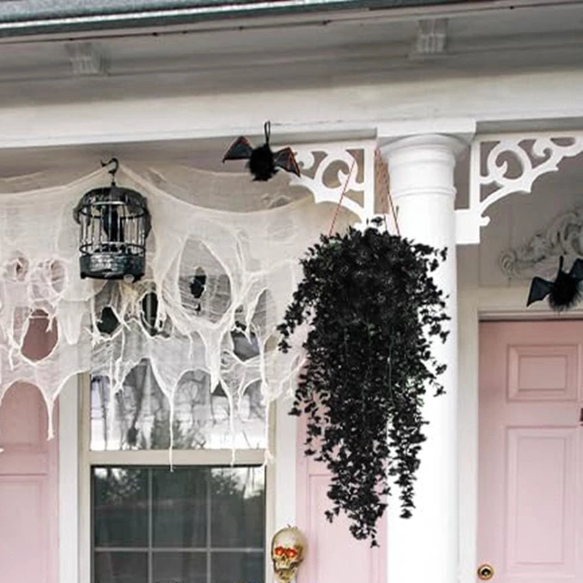 Plante Eucalyptus accrochée en décoration de porte d'entrée festive