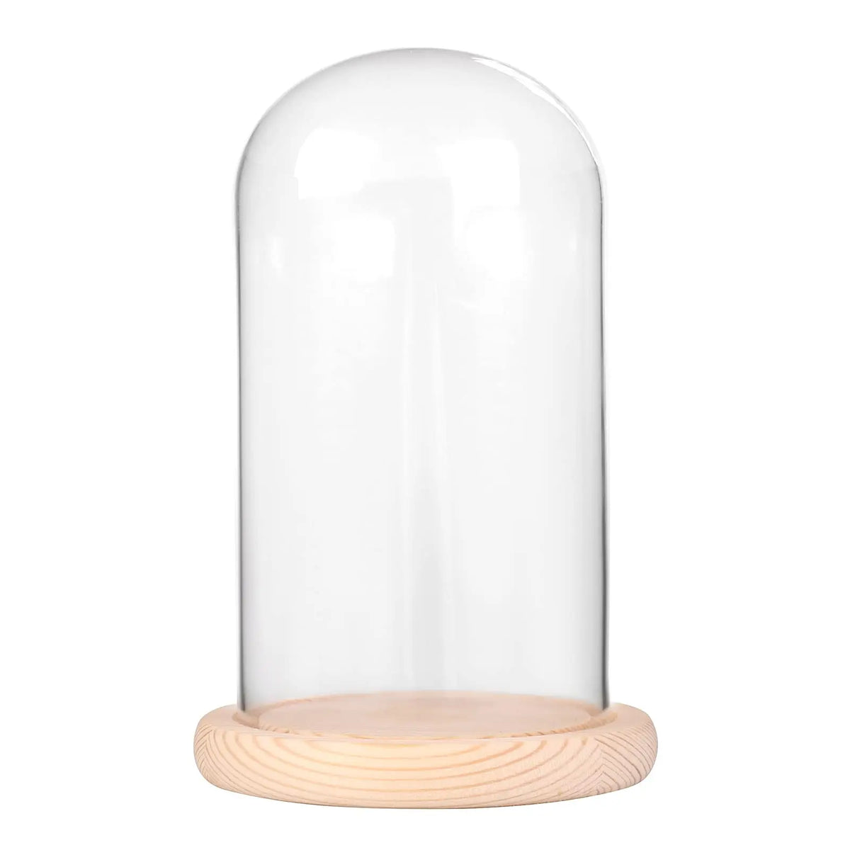 cloche verre transparente base bois moderne minimaliste deco intérieur simple exposant objets decoratifs plantes