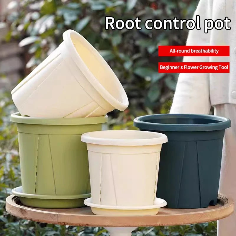 pots racines plastique moderne vertclair beige bleufoncé rayures grille drainage support hydroponie plantes