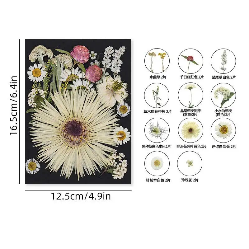 fleurs séchées naturelles variées artisanales blanc rose violet jaune orange bleu decoration maison anniversaire