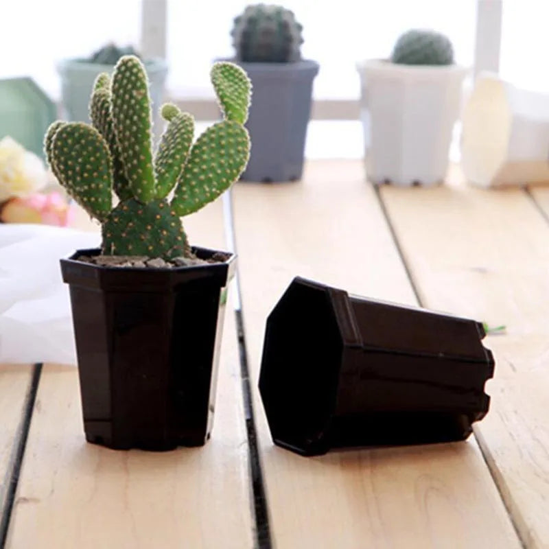 Pots plante modernes plastique blanc noir gris bleu 10x8x9.5cm 6.8x4.8x7.4cm minimaliste