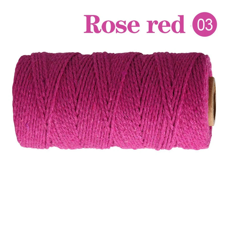 fil coton multicolore texturé naturel 100m 2mm enduit crafts sacs vêtements textiles maison