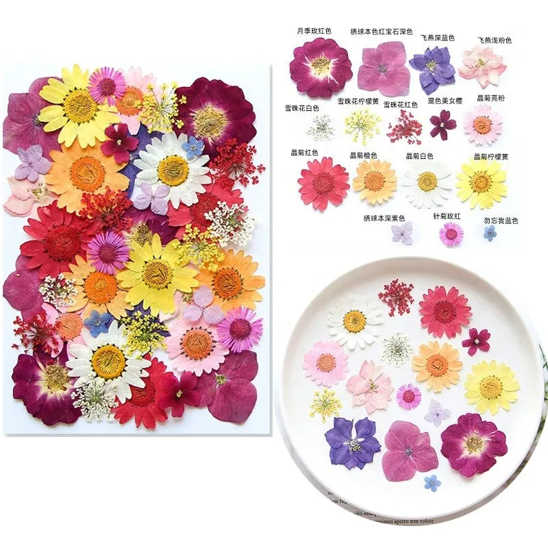 fleurs séchées multicolores variées naturelles scrapbooking décoration maison artisanat DIY