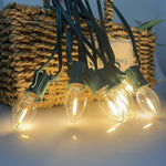 guirlande lumineuse led transparente moderne vert blanc 25ft 10bulb ip44 étanche clips