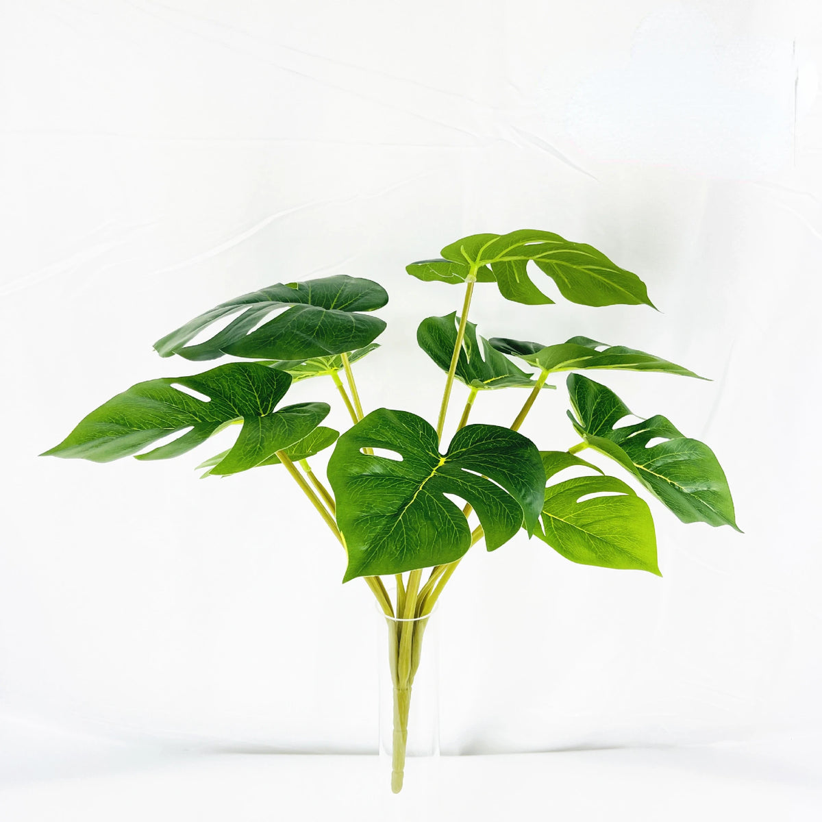 plante artificielle décorative feuilles vertes blanches rouges salon maison moderne naturel