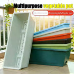 pots légumes intérieur auto absorbant drainage corde absorbante semis plante maison blanc bleu vert