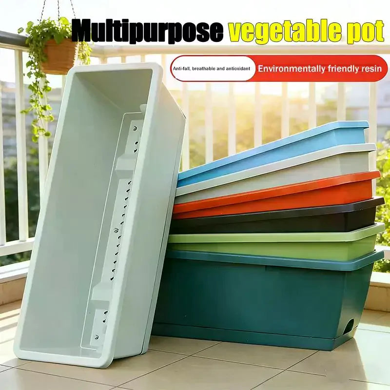 pots légumes intérieur auto absorbant drainage corde absorbante semis plante maison blanc bleu vert