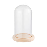 cloche verre transparent moderne base bois naturel boîte rangement fleurs minimalistes différentes tailles