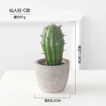 décoration intérieure cactus artificiel vert moderne pot gravier salon 11.1cm