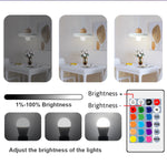 ampoule led rgb multicolore télécommande effet dynamique moderne lumiere variable 16 couleurs