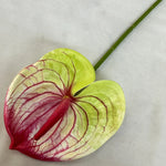 fleurs artificielles anthurium modernes multiple couleurs intérieur décoration mariage événements
