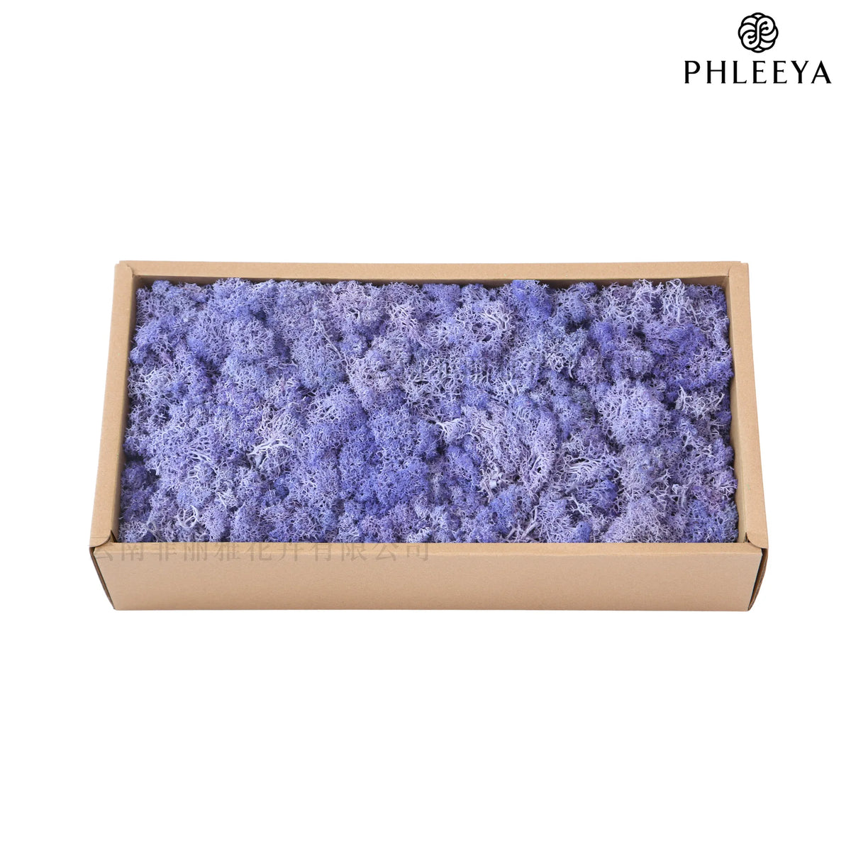 mousse séchée naturelle décorative fleurs séchées rustiques vert rose bleu violet maison intérieur