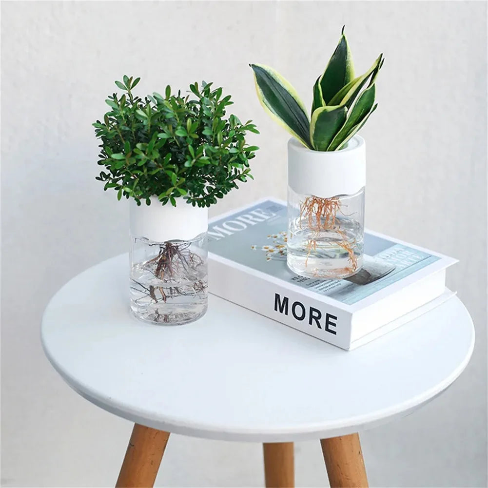 pots hydroponiques blancs transparents modernes minimalistes plantes vertes decoration interieur nature sophistication